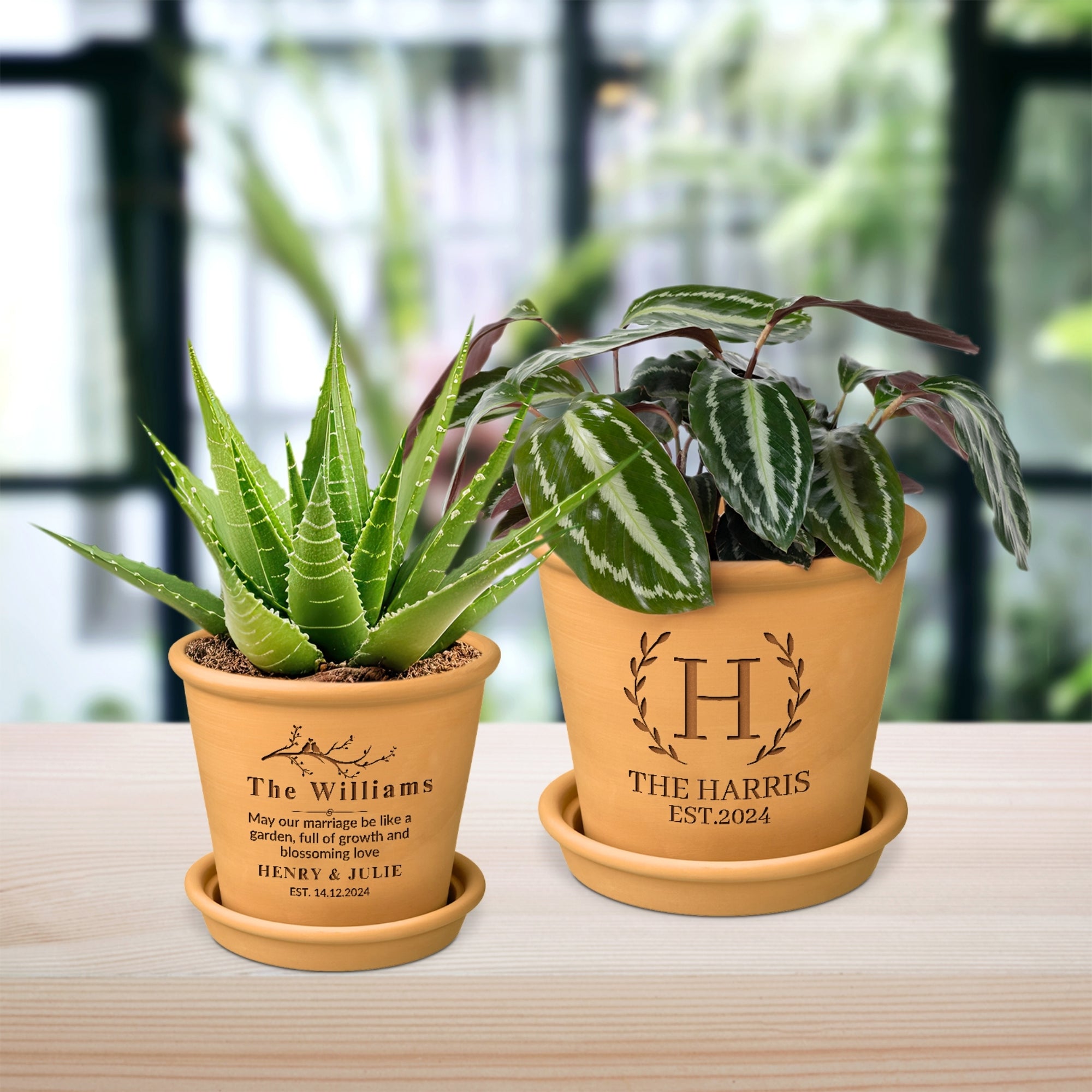 Custom Etched Couple Terracotta Pot & Saucer, Personalised Unity Tree Planting Wedding Ceremony Planter Housewarming Anniversary Garden Gift