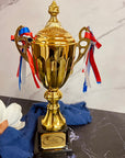 Metal Golden Trophy Cup & Custom Engraved Plaque, Personalised Award Winner, Sport, Staff, Teacher, Employee, Dad Celebration Gift Keepsake