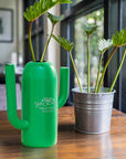 Personalised Green Metal Cactus Garden Watering Can, Custom Engraved Flower Plant Tool, Teacher, Housewarming, Birthday, Mom, Dad Xmas Gift