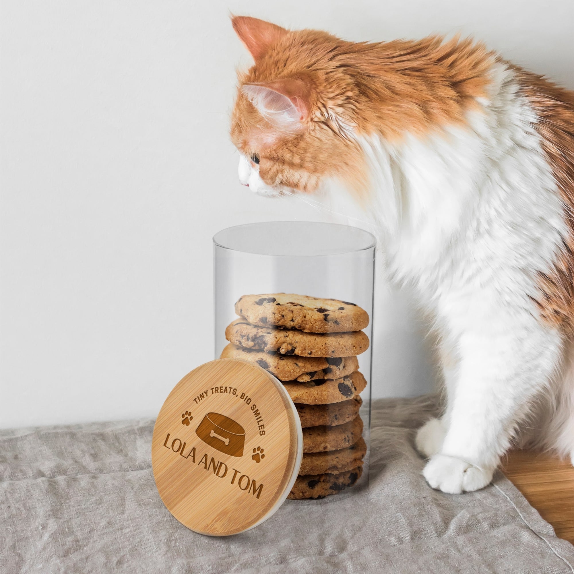 Personalised Wooden Lid Glass Pet Jar, Custom Etch Print Treat, Cat's Food Snack Canister, Jerky, Mussel Dog Chew Storage, Housewarming Gift
