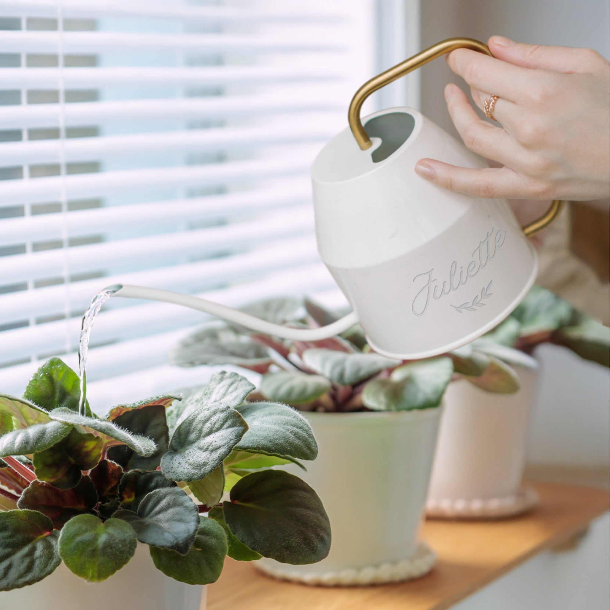 Personalised Garden Watering Can, Custom Engraved Flower Plant Tool, Teacher, Anniversary, Housewarming, Wedding, Birthday Mom Dad Xmas Gift