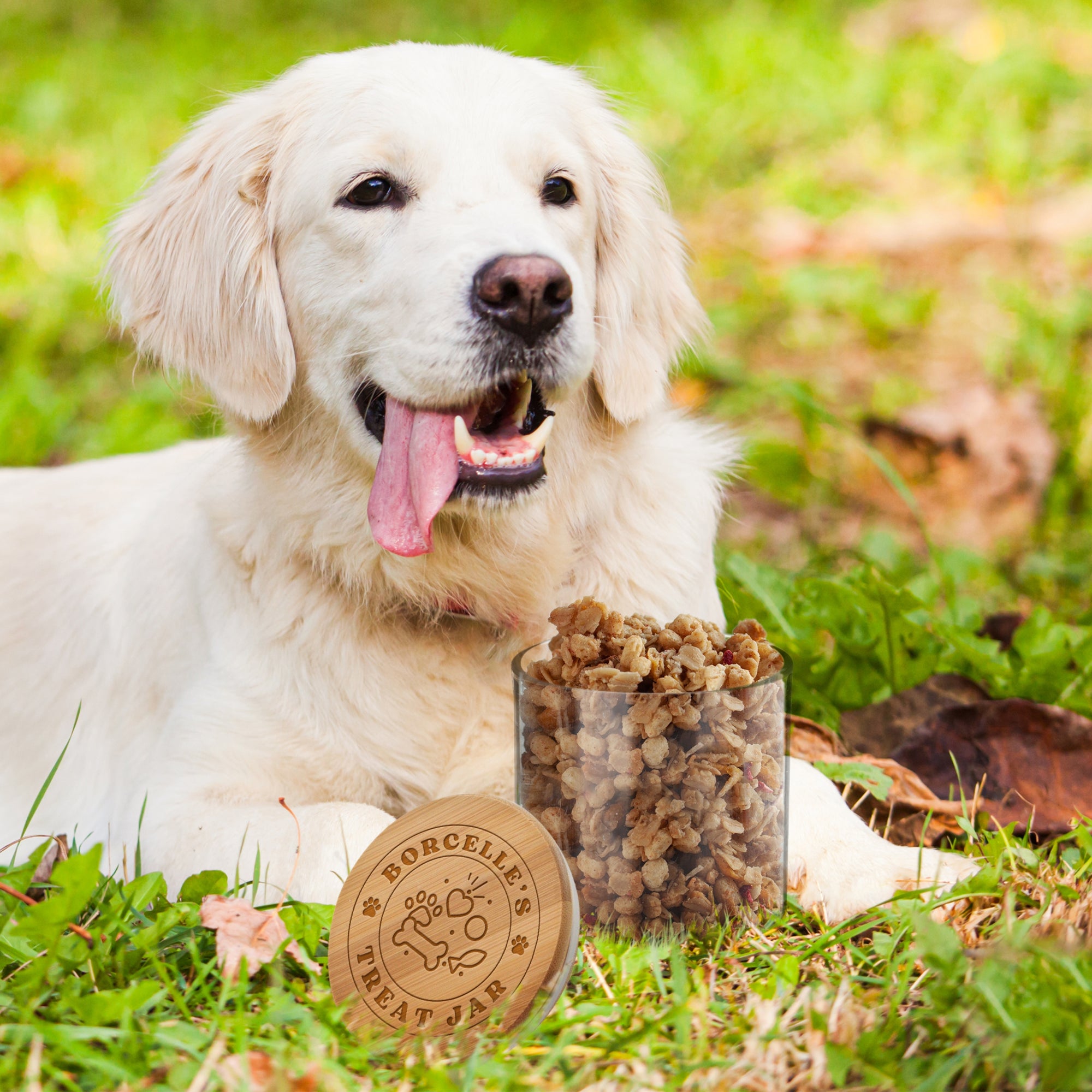 Personalised Wooden Lid Glass Pet Jar, Custom Etch Print Treat, Cat's Food Snack Canister, Jerky, Mussel Dog Chew Storage, Housewarming Gift