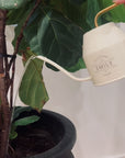 Personalised Garden Watering Can, Custom Engraved Flower Plant Tool, Teacher, Anniversary, Housewarming, Wedding, Birthday Mom Dad Xmas Gift