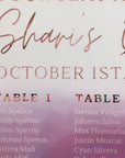 Custom Frosted/ Clear Wedding Seating Chart Sign, Personalised Guest Plan/ Find Table Take a Seat, Modern, Luxury Reception Event Decor