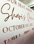 Custom Frosted/ Clear Wedding Seating Chart Sign, Personalised Guest Plan/ Find Table Take a Seat, Modern, Luxury Reception Event Decor