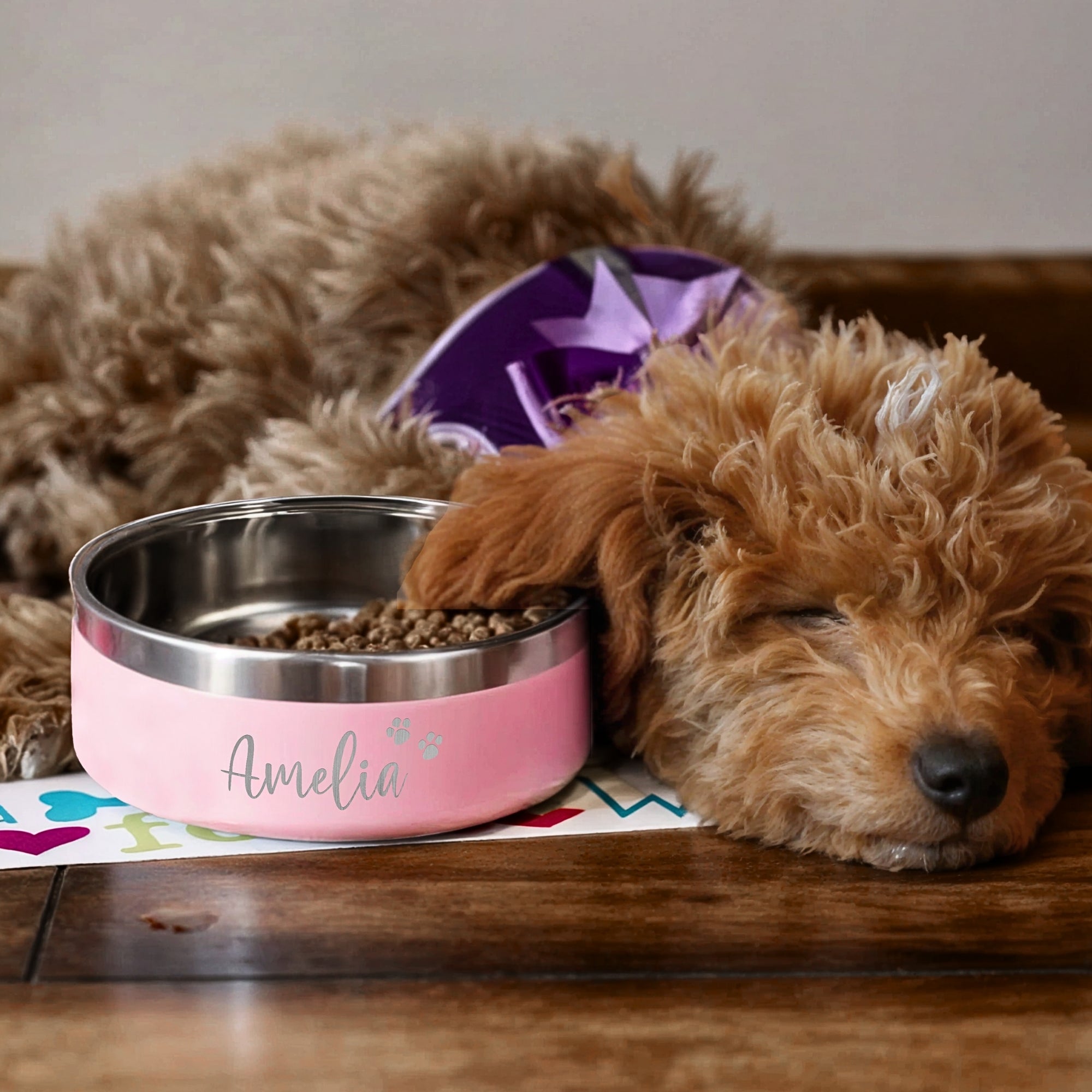 Custom Engraved Stainless Steel Dog Bowl, Personalised Double Walled Insulated Cat Pet Water/ Food Bowls, New Puppy Arrival, Christmas Gift