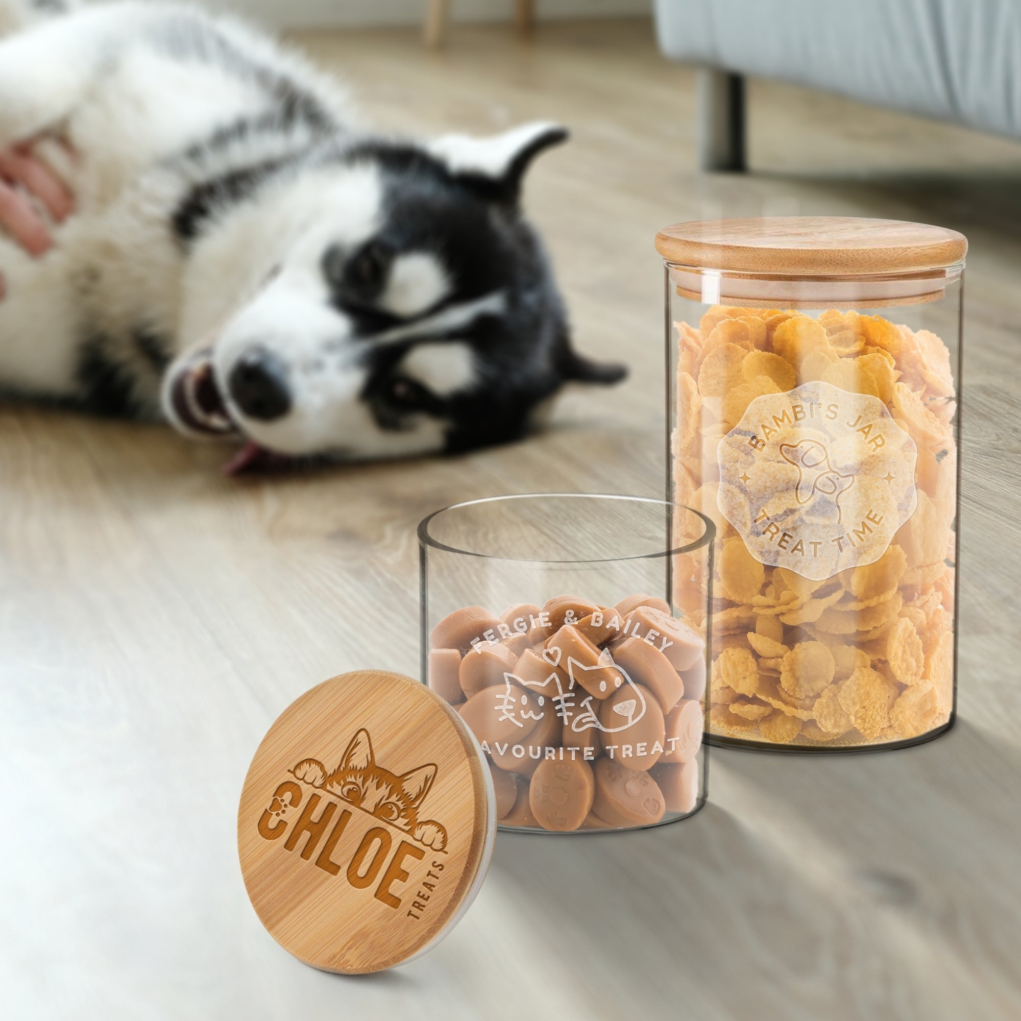 Personalised Wooden Lid Glass Pet Jar, Custom Engraved Treat, Cat&#39;s Food, Snack Canister, Jerky, Mussel, Dog Chew Storage, Housewarming Gift