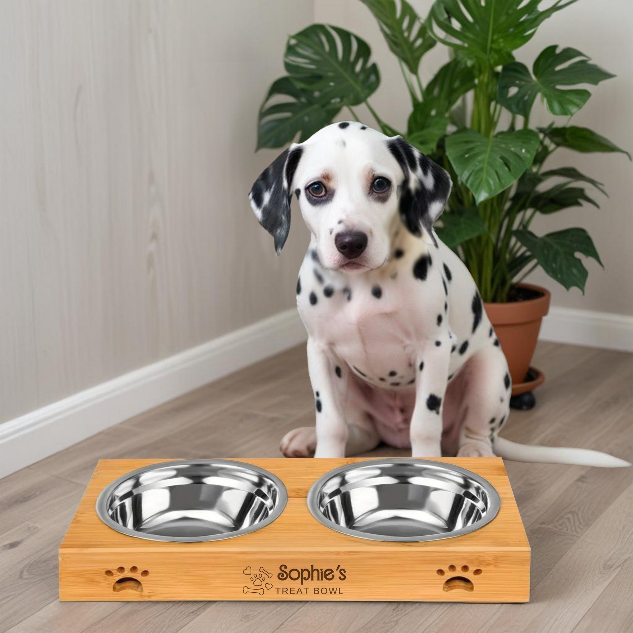 Custom dog feeding station best sale