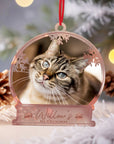 Personalised 3D Wood Acrylic Pet Photo Snow Globe Ornament Custom Etched Name Dog Cat Christmas Tree Tag In Loving Memory Heaven Bauble Gift