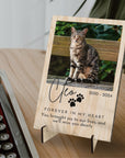 Custom UV Print In Loving Memory Pet Wooden Photo Plaque, Personalised Acrylic Table Picture Display Frame Stand, Cat Dog Loss Keepsake Gift