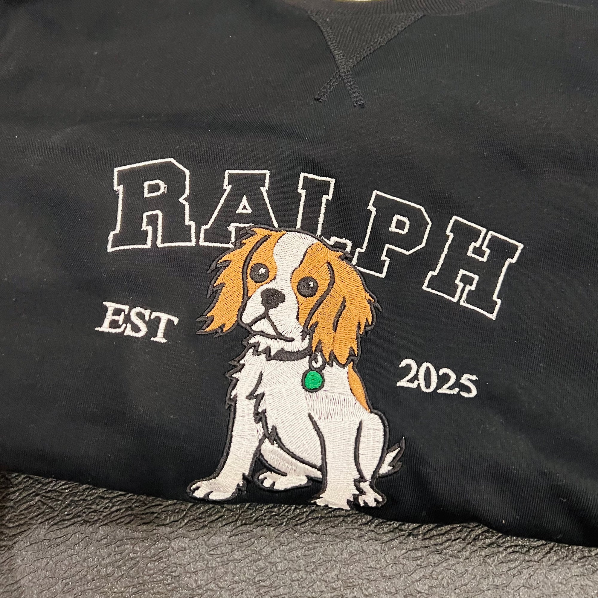 Custom Photo &amp; Name Embroidered Pet Sweatshirt, Personalised Crewneck Jumper Oversize Dog, Cat Portrait Embroidery, Christmas Birthday Gift
