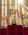 Metal Golden Trophy Cup & Custom Engraved Plaque, Personalised Award Winner, Sport, Staff, Teacher, Employee, Dad Celebration Gift Keepsake