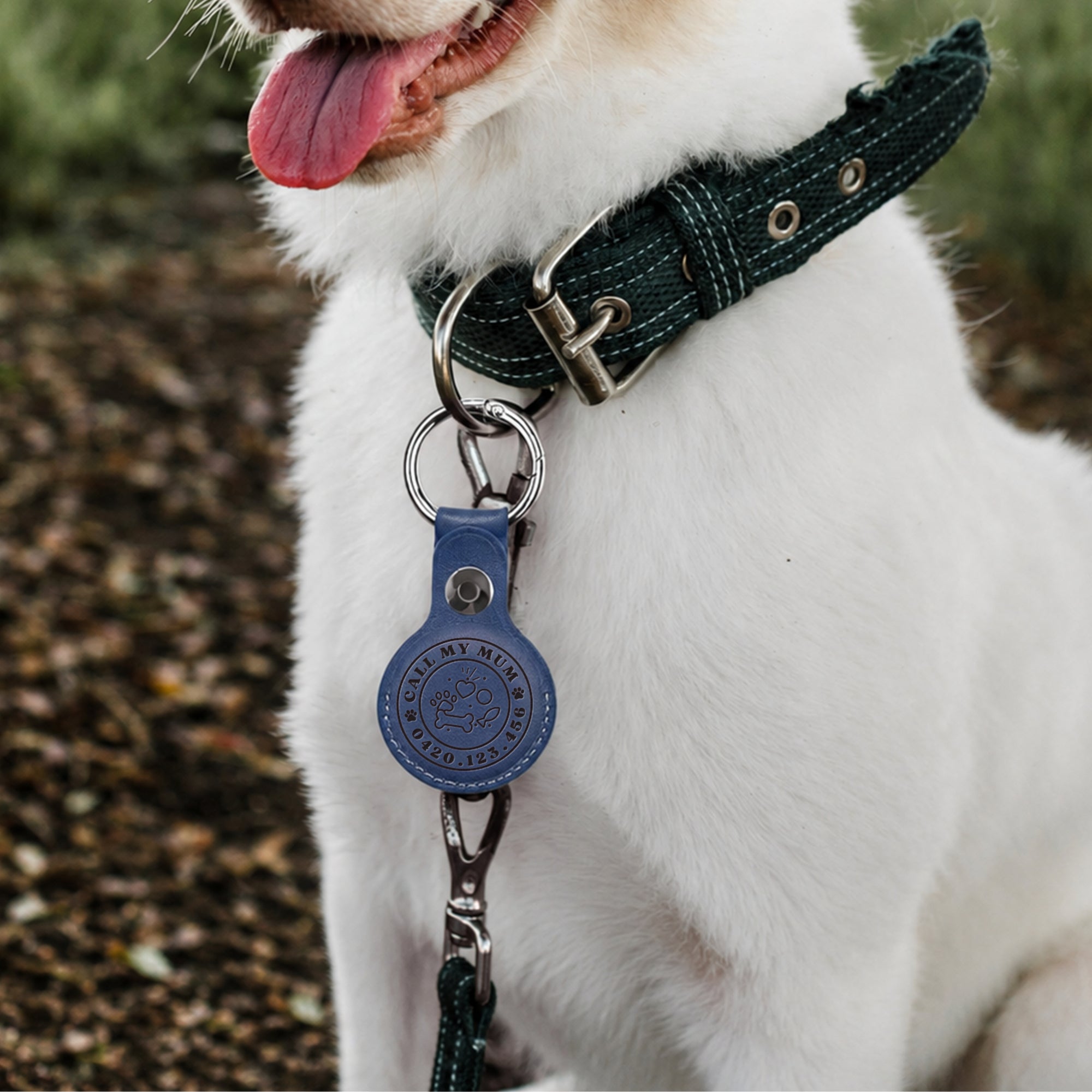 Personalised Apple AirTag Case Holder, Custom Engraved Smart Tracker/ Dog Collar/ Travel Luggage, School Bag Tag Cover, Logo Corporate Gift