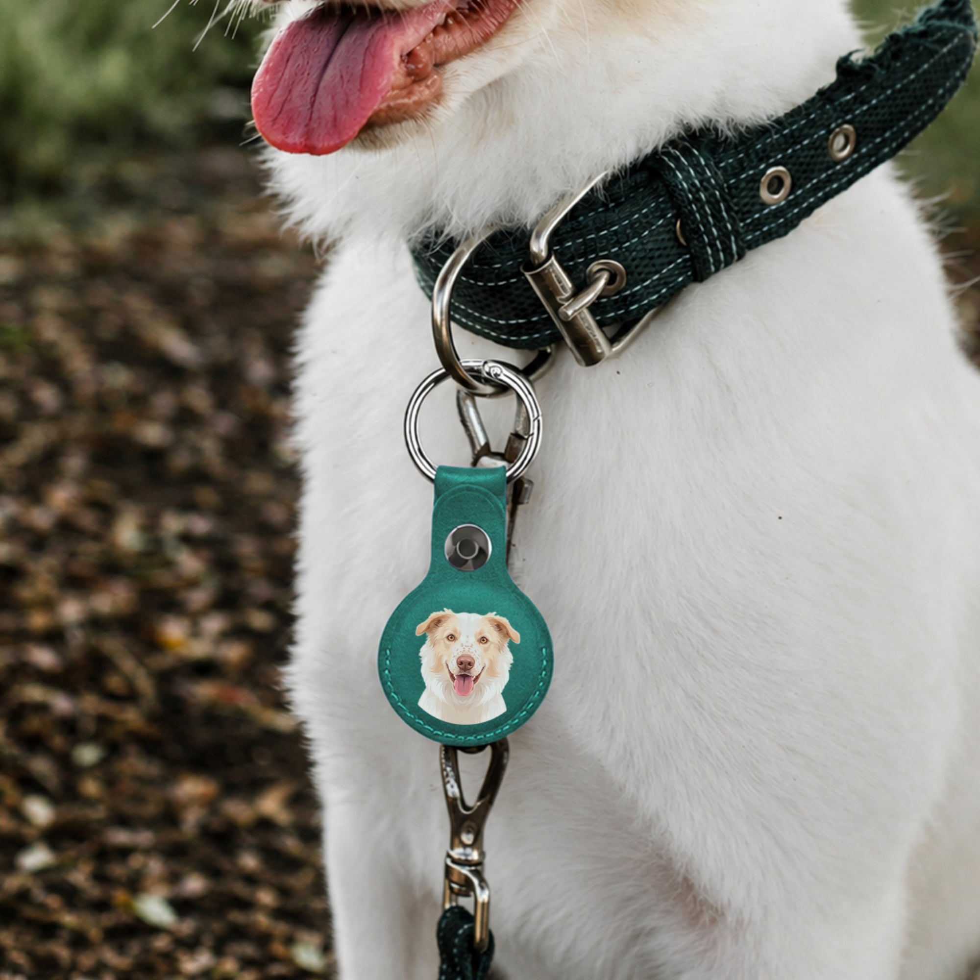 Personalised Photo Pet Apple AirTag Case Holder, Custom Print Dog Collar Smart Tracker Cover, Logo Groomer Veterinary Clinic, Cat Lover Gift