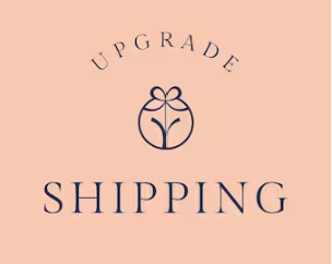 Shipping Upgrade