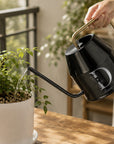 Custom engraved black 2L watering can with gold handle watering indoor plants